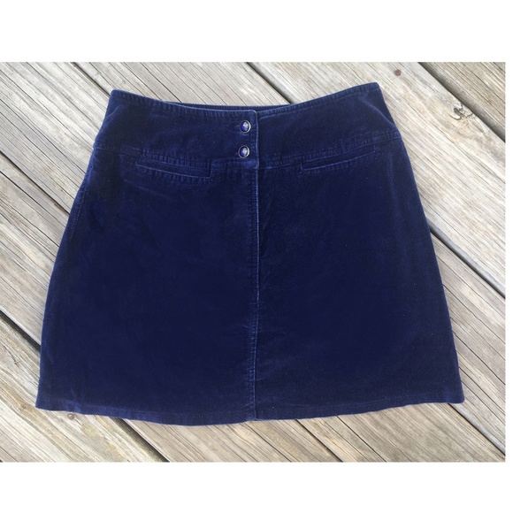 Express Dresses & Skirts - Blue Velvet Skirt by Express